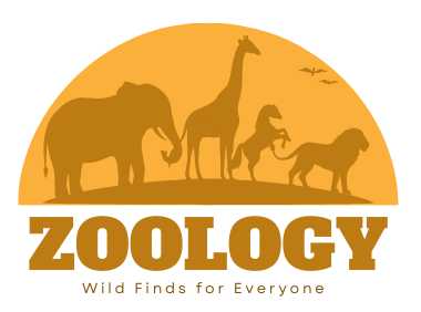 ZOOLOGY eStore